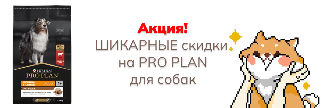 PP собаки октябрь