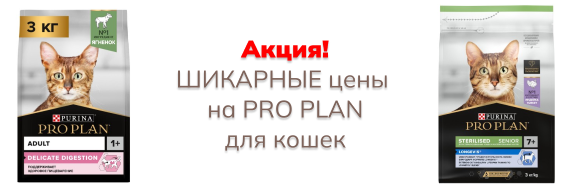 https://kormok.ru/cats/korma-dlya-koshek/pro-plan-cat/