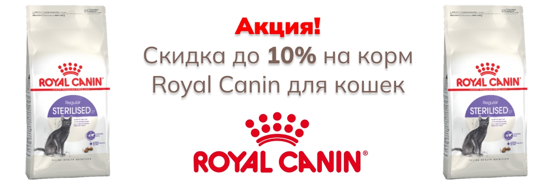 Роял стерилизованные кошки