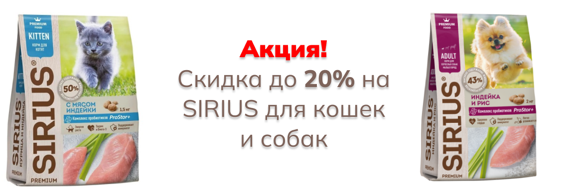 Сириус сентябрь 25
