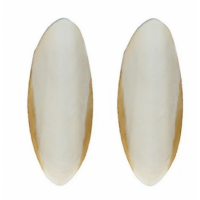 Лакомство для попугаев Шурум-Бурум панцирь каракатицы 14-16 см