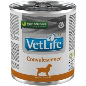 Farmina Vet Life Dog консерва для собак после болезни 300 г