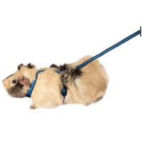 Шлейка+поводок капрон Gamma 