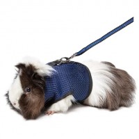 Шлейка+поводок капрон Gamma 