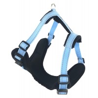 Шлейка-жилетка ZooExpress Fresh Line, черная сетка с голубым XS ОГ 40-48 см, ОШ 30-38 см