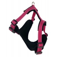 Шлейка-жилетка ZooExpress Fresh Line, черная сетка с малиновым  XS ОГ 40-48 см, ОШ 30-38 см