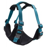 Шлейка-жилетка ZooExpress Fresh Line, черная сетка с морской волной S ОГ 46-56 см, ОШ 32-42 см