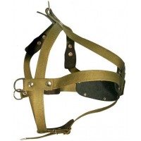 Шлейка брезентовая ZooExpress 26 мм до 95 см зеленая