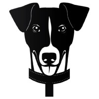 Ошейник кожаный BUDDY 10 мм (рыжий) ВМ 110012в