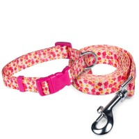Комплект ошейник+поводок нейлоновый  Комплект ошейник+поводок нейлоновый