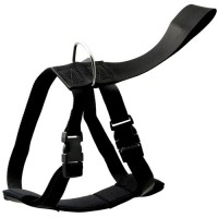 АКЦИЯ: (Скидка 50%) Шлейка для авто CH-03AC(L)