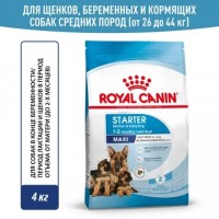 Royal Canin Maxi Starter, для беременных, кормящих сук и щенков до 2-х мес 4 кг