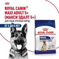 Royal Canin Maxi Adult, для взрослых собак крупных размеров 5 +.4  кг