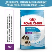 Royal Canin Gianti Starter, для беременных, кормящих сук и щенков до 2-х мес 4 кг