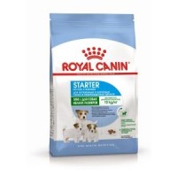 Royal Canin Mini Starter, для бер, корм сук мелк. пород  и до 2-х мес, 8.5 кг