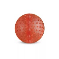 Игрушка д/собак Triol из термопласт. резины 