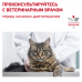 Royal Сanin Urinary S/O LP34, для кошек при патологии мочевыводящих путей, 7 кг