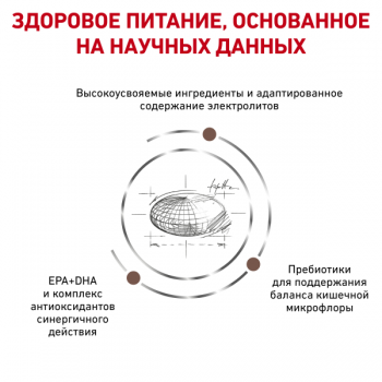 Royal Сanin Gastro Intestinal Moderate Calorie, для кошек, 400 г