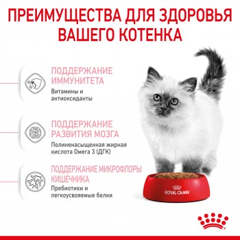 Royal Canin Kitten (в соусе), пауч для котят до 12 мес и бер-х кошек, 85 г