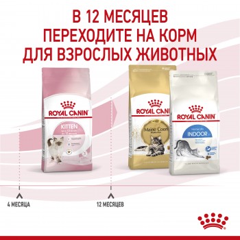 Royal Canin Kitten (в соусе), пауч для котят до 12 мес и бер-х кошек, 85 г