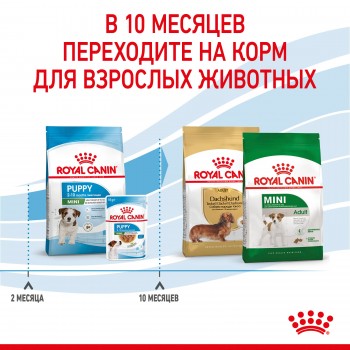 Royal Canin Mini Puppy, для щенков мелких пород 2-10 мес, 2 кг