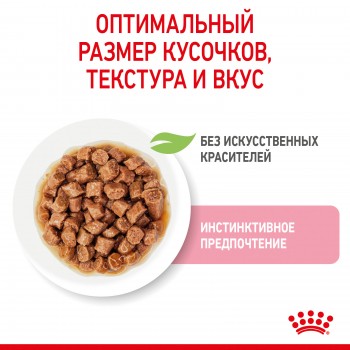Royal Canin Kitten (в соусе), пауч для котят до 12 мес и бер-х кошек, 85 г