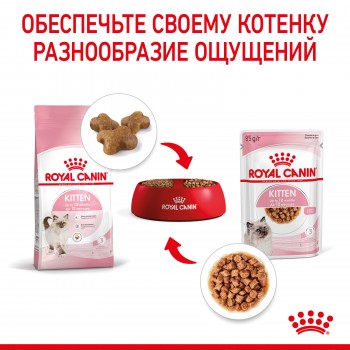 Royal Canin Kitten (в соусе), пауч для котят до 12 мес и бер-х кошек, 85 г