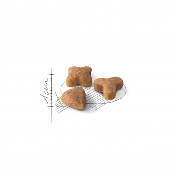 Royal Сanin Sensible 33, для кошек с чув. пищ., 1,2 кг