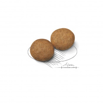 Royal Canin Medium Adult, для взрослых собак средних размеров, 15 кг
