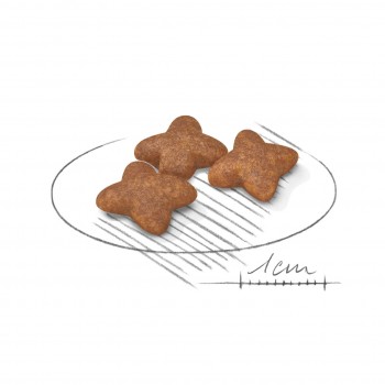 Royal Canin Mini Adult, для взрослых собак мелких пород с 10 мес, 800 г