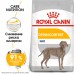  Royal Canin Maxi Dermacomfort Корм сухой для взрослых собак крупных размеров при раздражениях и зуде кожи, 3 кг