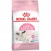 ПОМОЩЬ - Royal Сanin Mother & Babycat, для котят 1-4 мес и беременных кошек, 2 кг