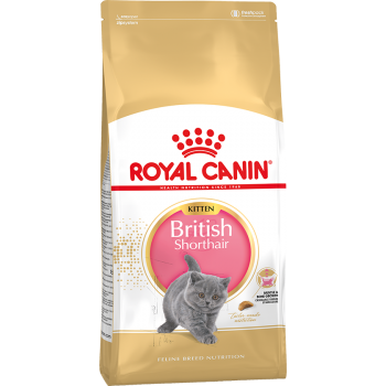 АКЦИЯ: (Скидка 15%) Royal Сanin Kitten British Shorthair, для котят британских, 2 кг