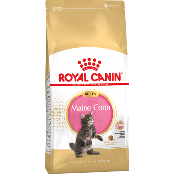 АКЦИЯ: (Скидка 15%) Royal Сanin Kitten Maine Coon, для котят мейн-кунов, 400 г