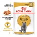 Royal Canin British Shorthair (в соусе), пауч для британских кошек, 85 г