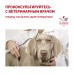 Royal Canin Hypoallergenic HSD 24 Small Dog, для мелких собак при аллергии, 1 кг