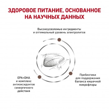 Royal Сanin Gastro Intestinal GI25, для собак при нарушении пищеварения, 2 кг
