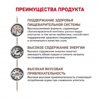 Royal Сanin Gastro Intestinal GI25, для собак при нарушении пищеварения, 2 кг