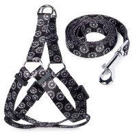 Шлейка+поводок нейлоновые Triol  Шлейка+поводок нейлоновые Triol