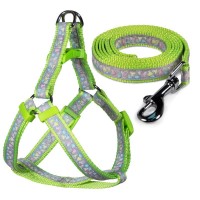 Шлейка+поводок нейлоновые Triol 